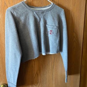 iowa state cropped long sleeve